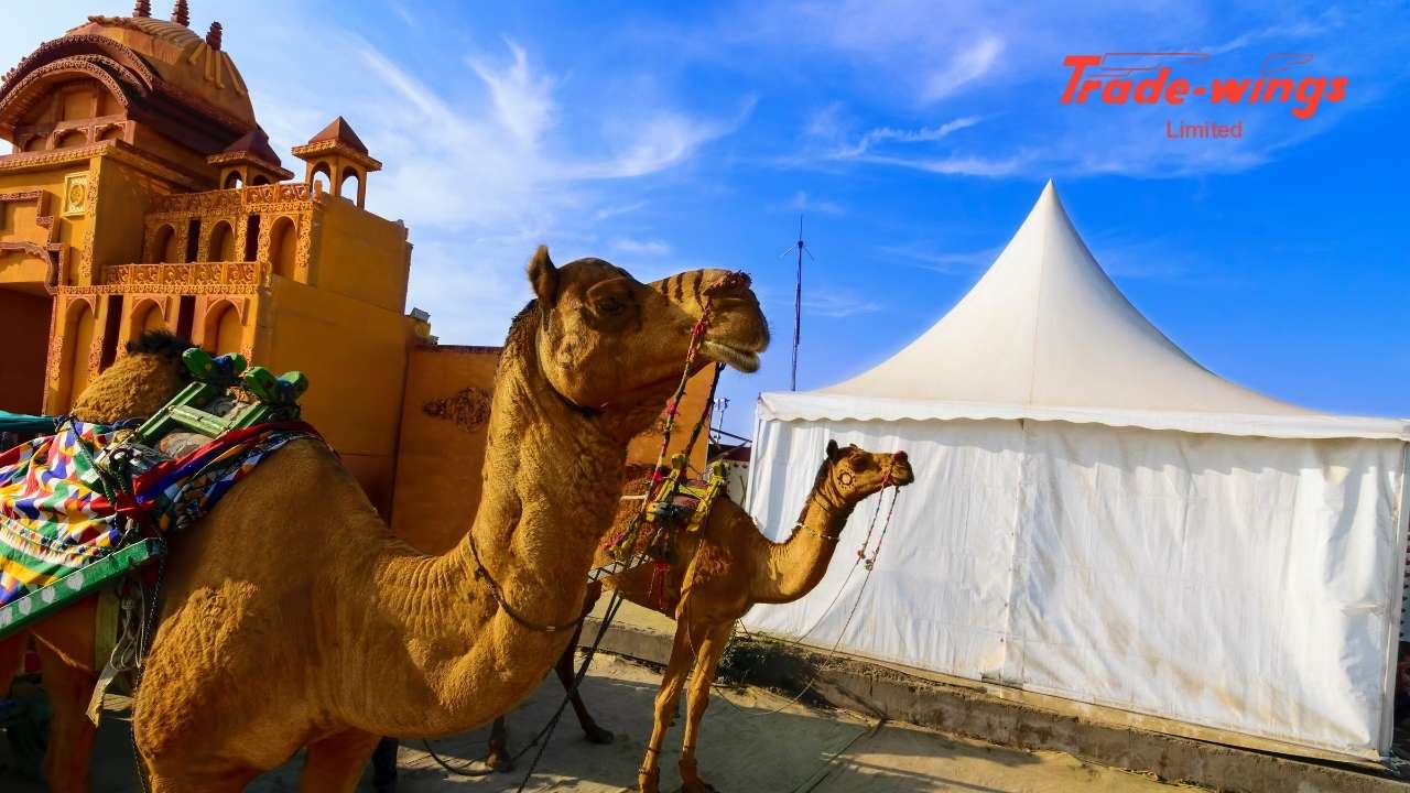 The majestic White Rann of Kutch during the Rann Utsav 2026 under a full moon.